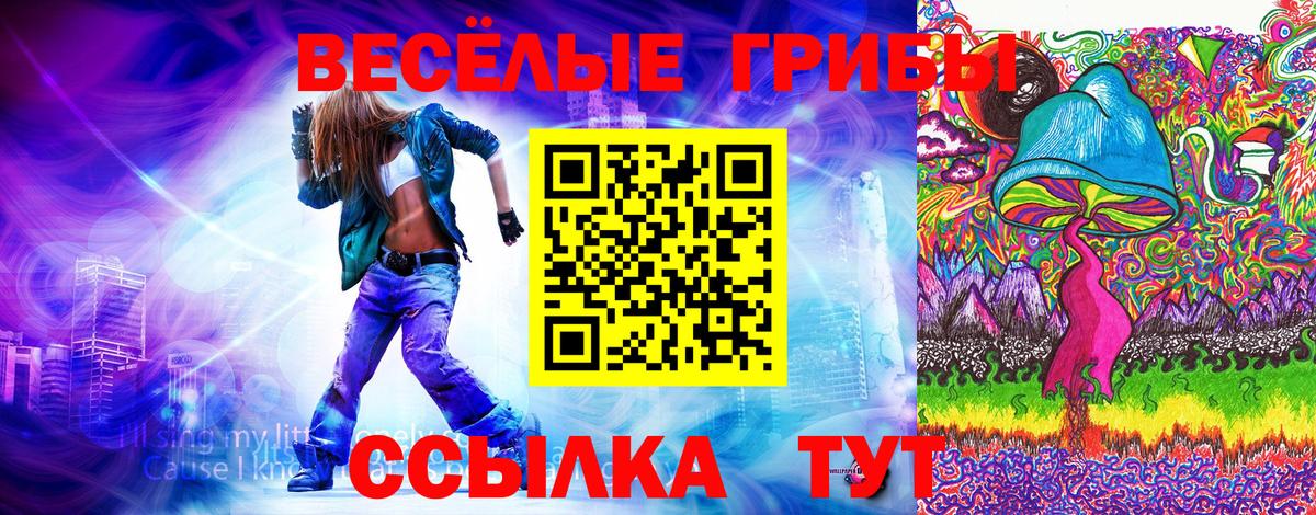 где продают   Псилоцибиновые грибы прущие грибы  Вход с VPN  Ростов-на-Дону  Псилоцибиновые грибы Magic Shrooms 